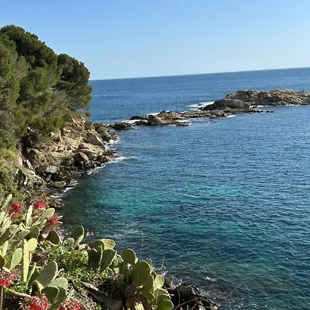 Apartment Duplex Avec Terrasse Magnifique Jacuzzi Vue *